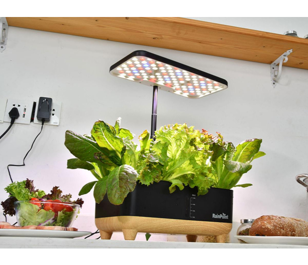 Rainpoint Zestaw do uprawy hydroponicznej - 1540785 - zdjęcie 3